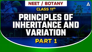 PRINCIPLES OF INHERITANCE AND VARIATION CLASS 12  NEET 2024  DRONA 20  BOTANY BY SANKALP BHARAT [upl. by Rednas]