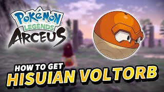 How to get HISUIAN VOLTORB Location  Pokemon Legends Arceus [upl. by Amandie]