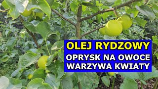 Wiosenny Oprysk Olejem Rydzowym na Drzewa Owocowe Warzywa Borówki Rośliny ozdobne Jabłonie [upl. by Asyram]