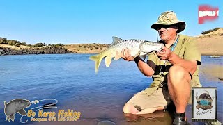 Fishing the Orange River at Slypsteen Safaris [upl. by Demmy]