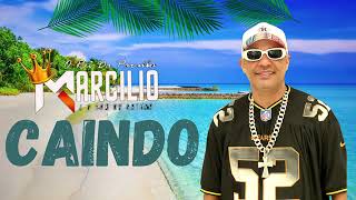 DJ MARCILIO VAI CAINDO [upl. by Brion417]