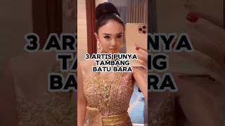 Pantas Selalu Hidup Glamor  Ternyata punya Bisnis Batu bara yunishara nikitamirzani [upl. by Ofilia780]