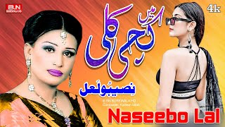 Main Kachi Kali  Naseebo Lal  New Song 2024  Punjabi Song Hit Mujra Dance Song  BN BUREWALA HD4k [upl. by Acissej219]