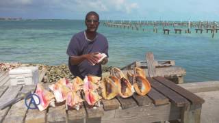 How to blow a conch  Atlantis Bahamas [upl. by Huey547]