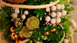 Decorate a Boxwood Miniature Christmas Tree [upl. by Anomer]