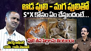 Forest Range Officer M Ram Mohan Exclusive Interview  Tigers Mating  Wild Animals  BTV [upl. by Sandberg]