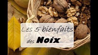 Les 5 bienfaits des noix de Grenoble [upl. by Yawnoc743]