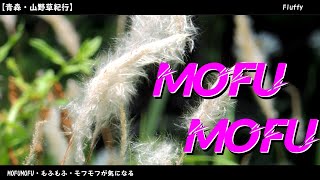 【onomatopoeia】Fluffy [upl. by Asilegna]