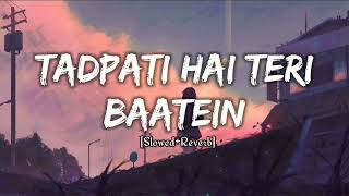 Tadpati Hai Teri Baatein SlowedReverb  Lofi Song [upl. by Merril444]