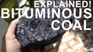 How coal is formed  Practically demonstration [upl. by Siuqramed623]