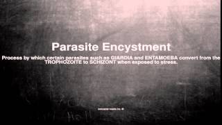 Medical vocabulary What does Parasite Encystment mean [upl. by Coreen]