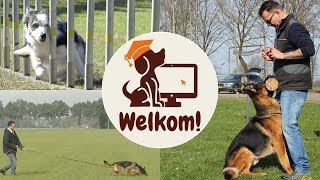 Online hondenschool  Gratis cursus honden trainen [upl. by Belcher]