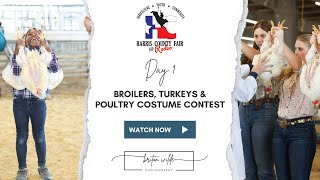 Harris County Fair and Rodeo 2023  Broilers Turkeys Poultry Costume Contest [upl. by Placidia]