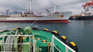 MV FRIO CARIBIC 🇵🇭🚢 topfans [upl. by Balthasar]