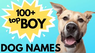 Top 100 Unique MALE Dog Names– Unusual Male Dog Names [upl. by Wandie602]