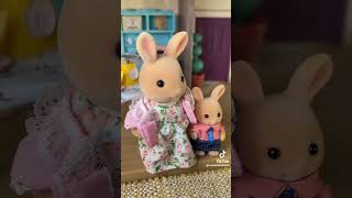 Sylvanian Drama Tiktok  Hey Girlie Pops [upl. by Eissel]