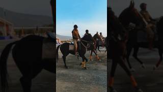 horse runing video  horse race video  shorts animal horse [upl. by Herrington]