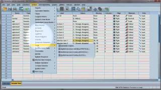 Reliability test Compute Cronbachs alpha using SPSS [upl. by Lloyd382]