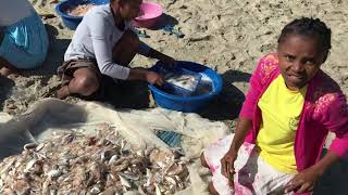 Femmes de pêcheurs sur le plage à Tamatave triant le poisson [upl. by Muna461]