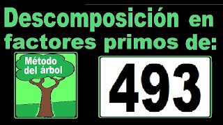 Descomposición en factores primos de 493 Descomponer 493 en factores primos  método del árbol [upl. by Zanze248]