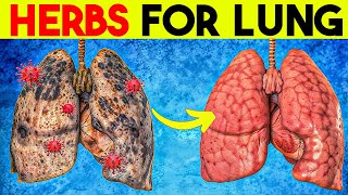 I Tried COPD Herbs for 30 Days – Here’s What Happened🌿 [upl. by Highams]