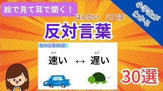 【反対語・反対言葉】絵で見て耳で聞く！30選 [upl. by Nipahc703]