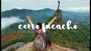 Subimos Cerro Picacho con 10 Panamá  Vlog 4 [upl. by Apilef572]