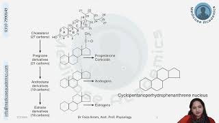 Adrenocorticotrophic Hormones  Endocrine Physiology Crash Course July 2023 [upl. by Alhsa692]