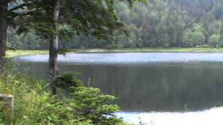 Randonnée dans les Vosges Lac de la Lauch [upl. by Gautious198]