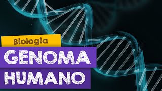 Resultados do projeto Genoma Humano [upl. by Gilli163]