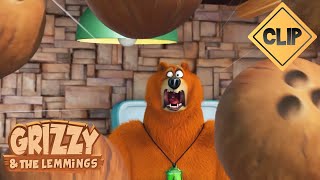 🥥 Fous de noix de coco 🐻🐹 Grizzy amp les Lemmings  Cartoon [upl. by Bellda]