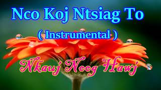 Tseen nco koj ntsiag tos Instrumental [upl. by Aicirpac]