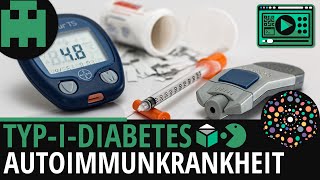 TypIDiabetes Autoimmunkrankheit│Biologie Lernvideo Learning Level Up [upl. by Neddra]