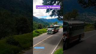 AUTOBUSES DE GUATEMALA feedshorts buses guatemala suscribete [upl. by Wendell]