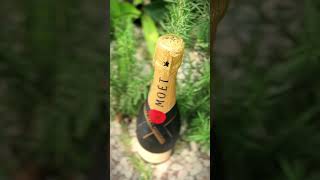 Moet amp Chandon Imperial Brut Champagne [upl. by Doak]