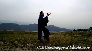 Wudang Tai Chi 108 by Master Chen Shiyu [upl. by Coral927]