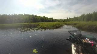 Pickerel fishing at Modsley Lake [upl. by Elodie]