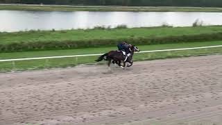 Coinvest O breezes at Palm Beach Downs Jan 13 [upl. by Charin]