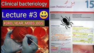 Gram Positive Cocci 🛑🛑 specialbacteriology LECTURE 3 Streptococcus staphalococcus bacteria [upl. by Aerua]