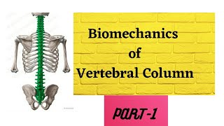 Spine anatomy kinetics kinematics in detail with notes and diagrams [upl. by Anastasie]