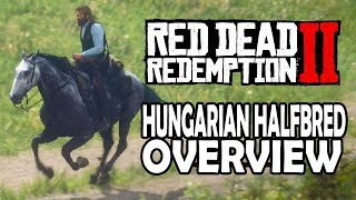 Hungarian Halfbred Overview  Red Dead Redemption 2 Horses [upl. by Monahan]