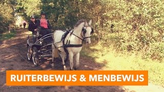 Ruiterbewijs en menbewijs  PaardenpraatTV [upl. by Purvis235]