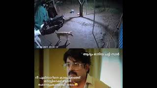 നീ സഠസാരിക്ക് ഞാൻ ഇപ്പൊ വരാം 😅🤣😡 funny shorts malayalamfunnytrolls malayalamtroll malayalam [upl. by Hoi710]