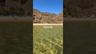 to do in Tenerife the beautiful beach playa Teresitas shorts [upl. by Zurc]