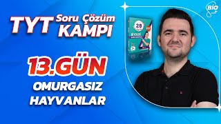 Omurgasızlar Soru Çözümü  21 Günde TYT Biyoloji Kampı13 [upl. by Acemaj]