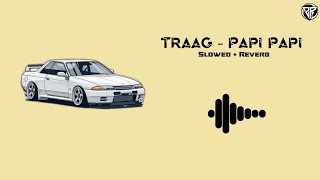 Traag  Papi Papi Slowed  Reverb Ringtone  Download Link 🔗⬇️  TikTok  Insta Reels Song [upl. by Alesiram655]