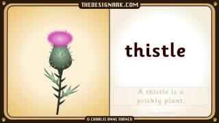 THISTLE How to pronounce the English word thistle [upl. by Ceil]