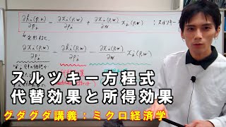 【ミクロ経済学】ミクロ経済学についてグダグダ語る講義：スルツキー方程式と代替効果・所得効果【難易度：学部中級から学部上級】 [upl. by Coleen]