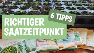 Jungpflanzenanzucht Teil 1  6 Tipps zum richtigen Saatzeitpunkt 🌱 [upl. by Drannek522]