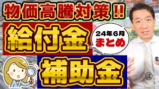 【6月度 物価高騰 給付金・補助金まとめ】要申請 都民非課税世帯等に1万円 都道府県別 最大50万円等 個人事業主・小規模向け 電気・LPガス補助 農業・運送事業者等〈24年6月時点〉 [upl. by Monjo]